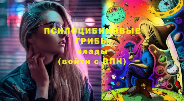 молекула духа Арсеньев