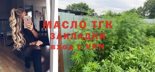 молекула духа Арсеньев