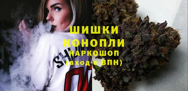 молекула духа Арсеньев