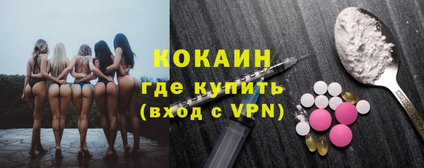 молекула духа Арсеньев